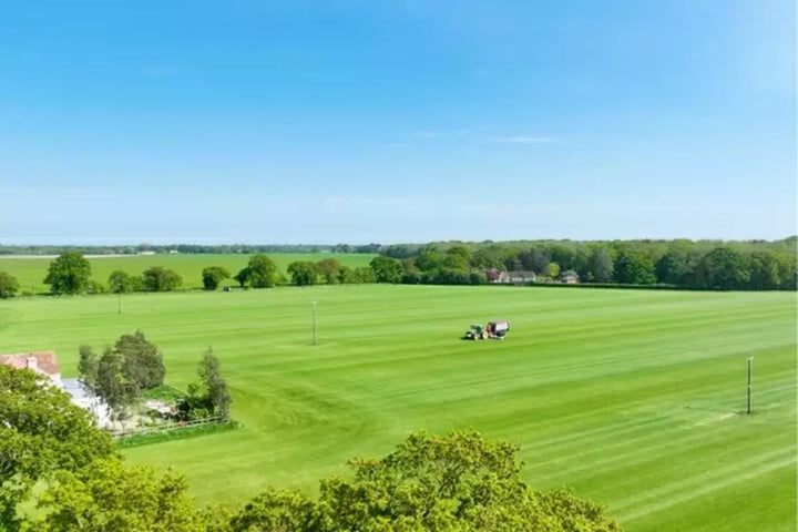 Why Essex Turf is the Best Around