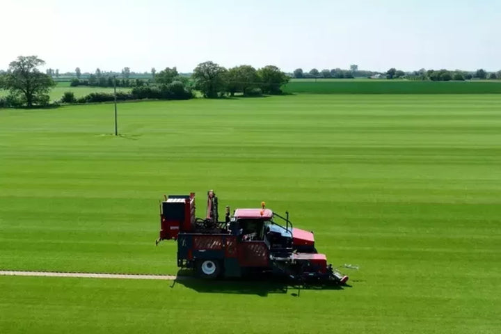 Why Paynes Turf is the Best Turf in Clacton