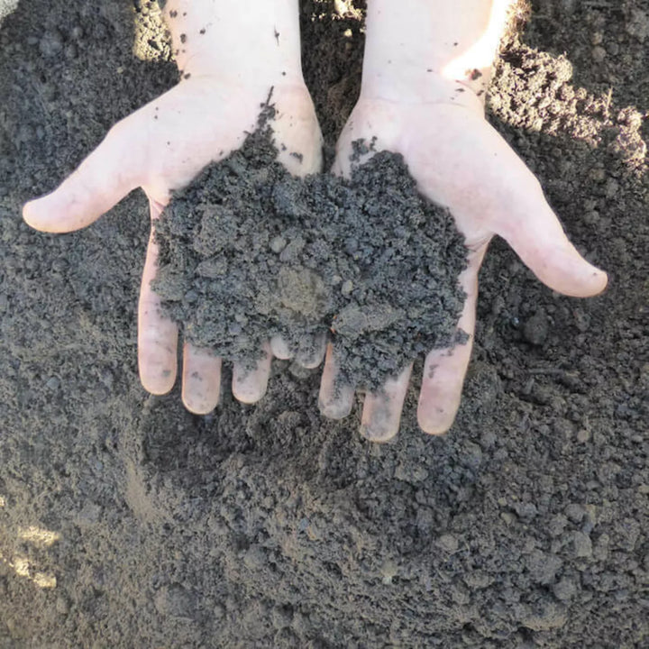 March Topsoil Tips for House Builders and Landscaping Projects