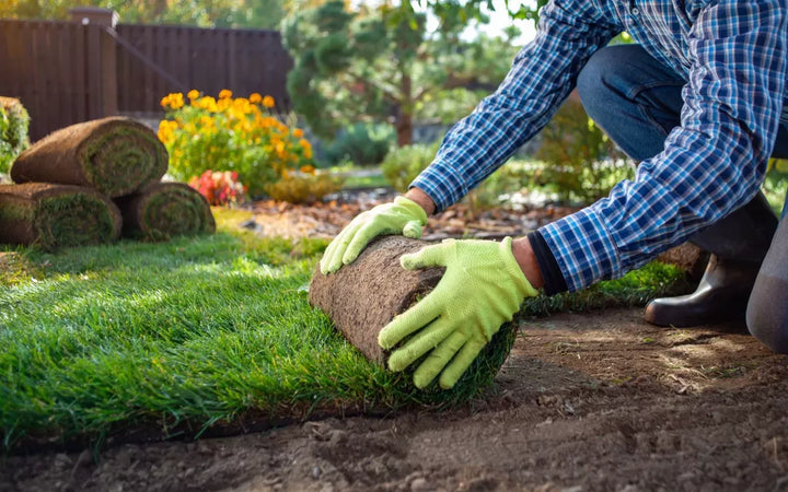 When is it best to lay turf?