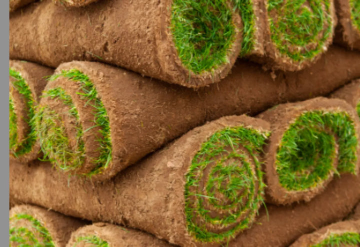 March Turf Care Essentials for Homeowners and Landscapers