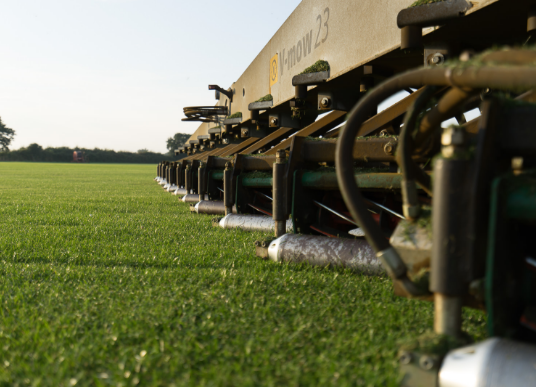 Premium grade turf being cut close up