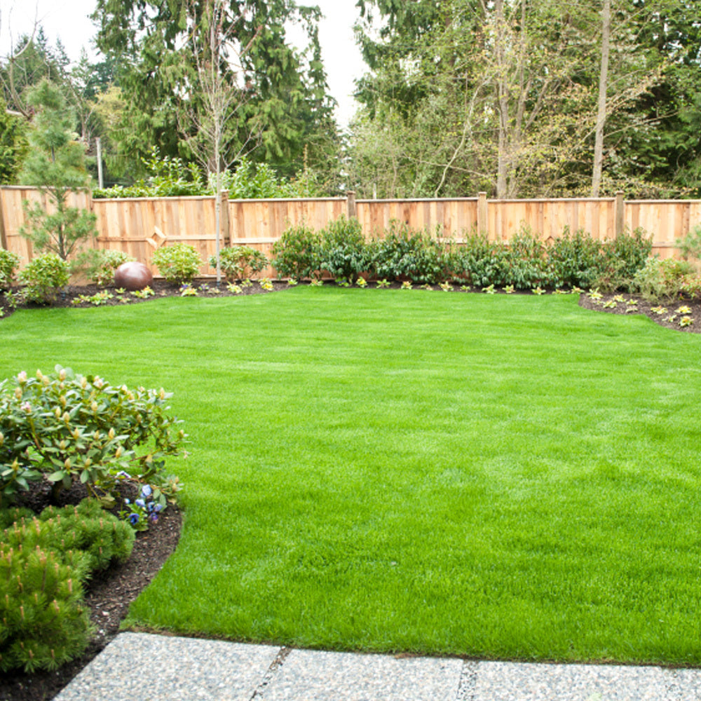Premium grade turf freshly laid in a garden