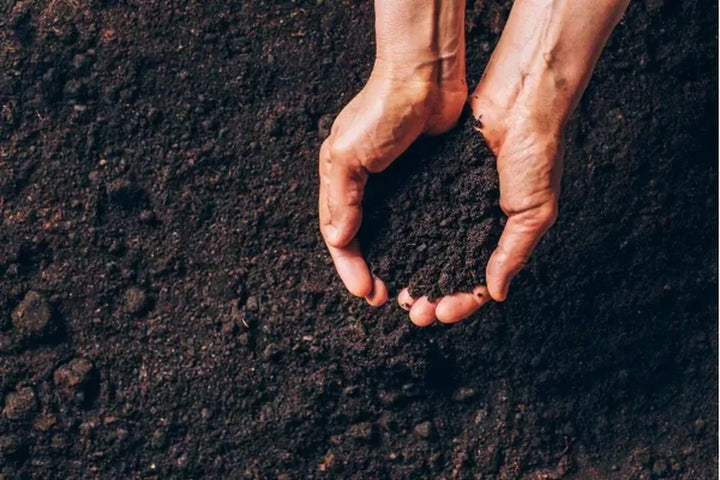 How Much Top Soil Do I Need?