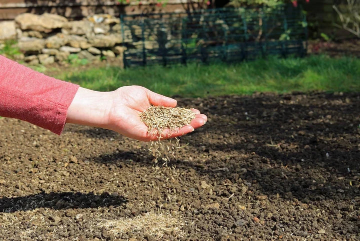 Should I Mix Grass Seed with Topsoil When Overseeding?
