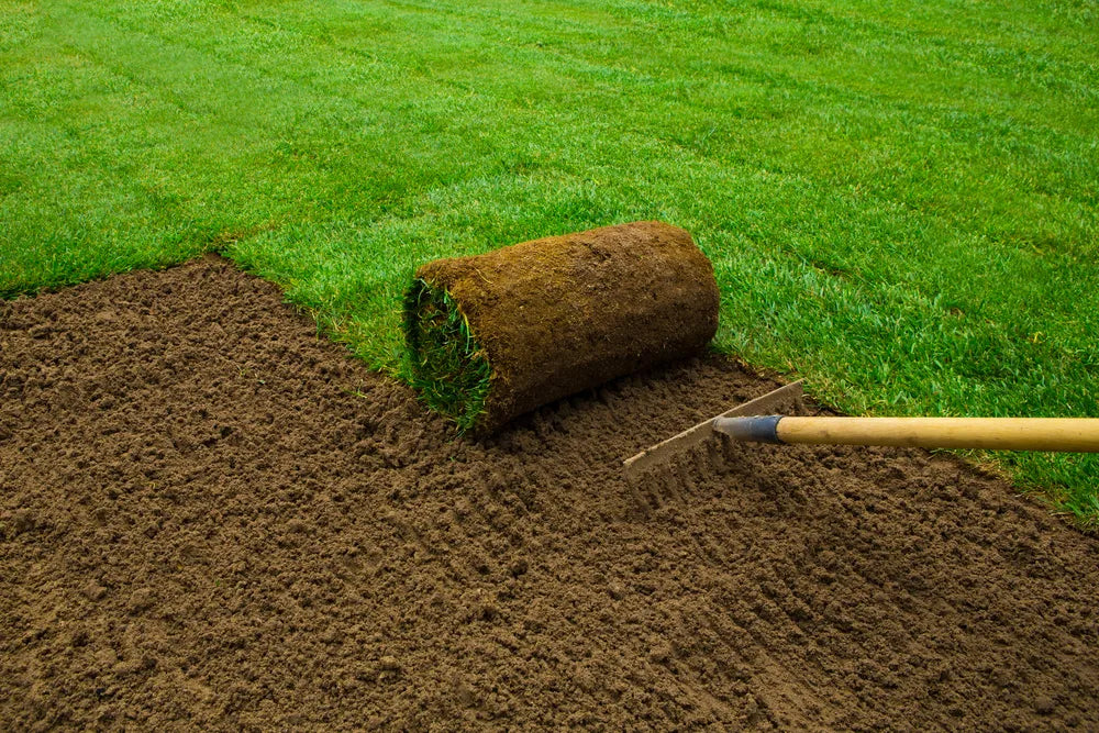 How Much Does Turf Cost?