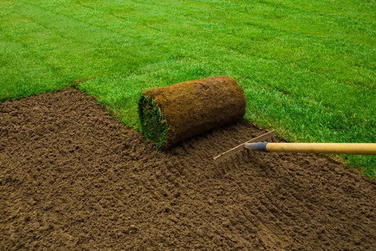 Bulk Turf Solutions for Landscaping Professionals in April