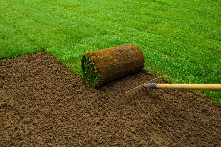 How Much Does Turf Cost?