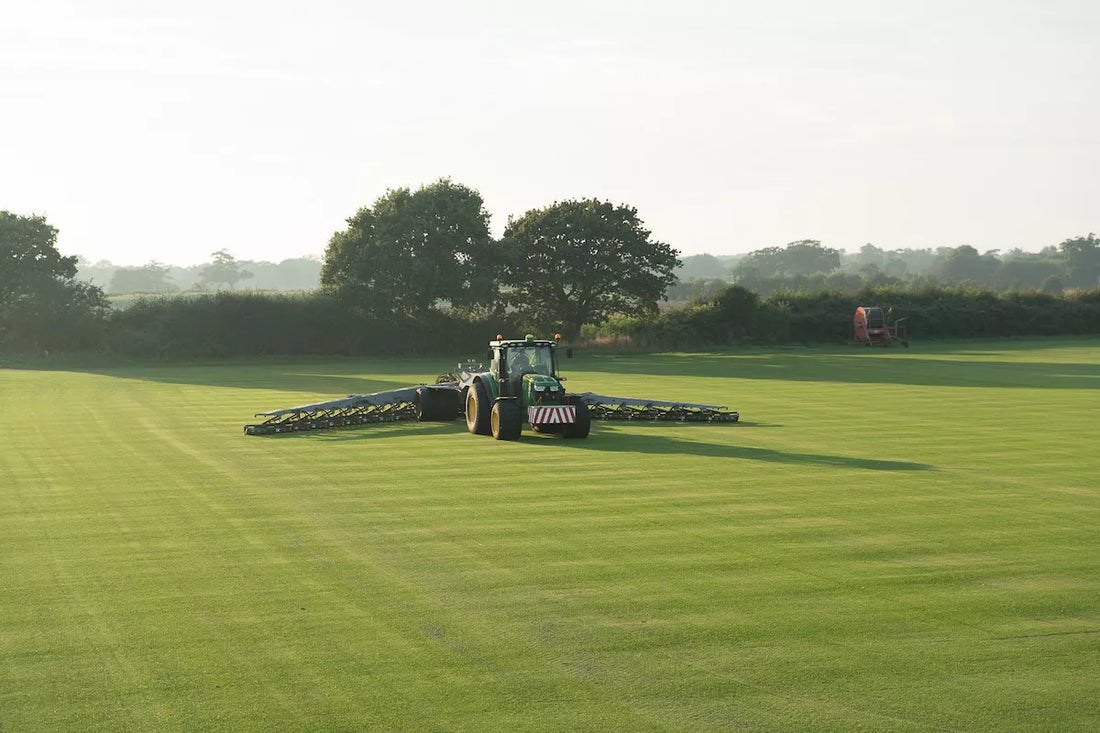 Rejuvenating Your Lawn with Premium Turf this April