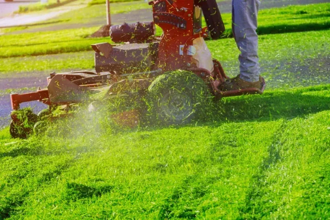 Premium grade turf  that has recently been laid being cut 