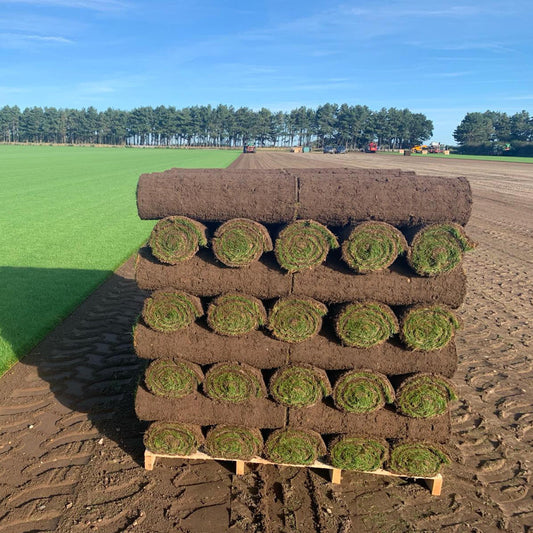 Premium Grade Turf